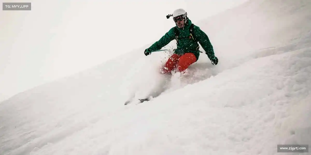 为什么选择我们